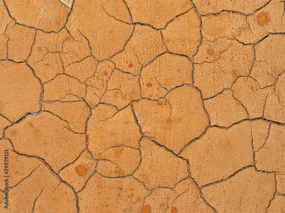 Cracked clay surface Cracked clay surface