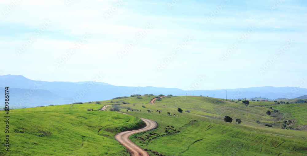 Strada di campagna