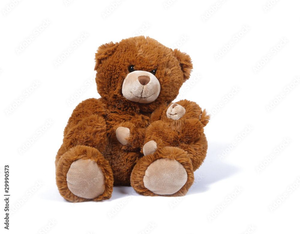 Fototapeta premium papa peluche