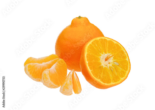 Minneola 03