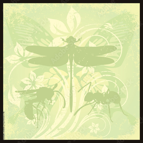 dragonfly
