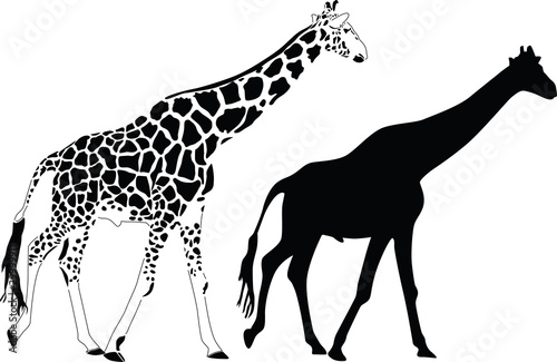 giraffe silhouette vector