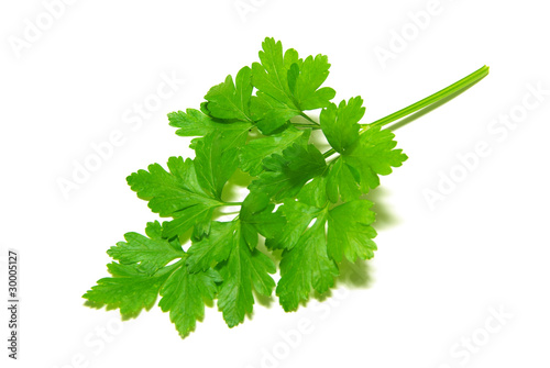 parsley