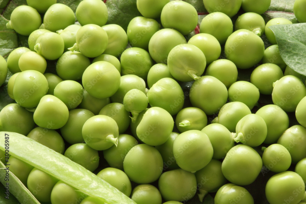 Green pea pods Green pea pods