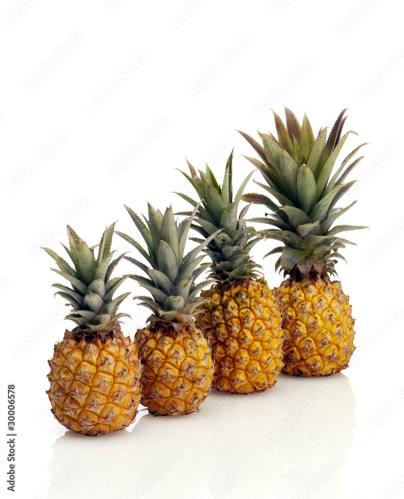 Ananasgruppe Ananasgruppe
