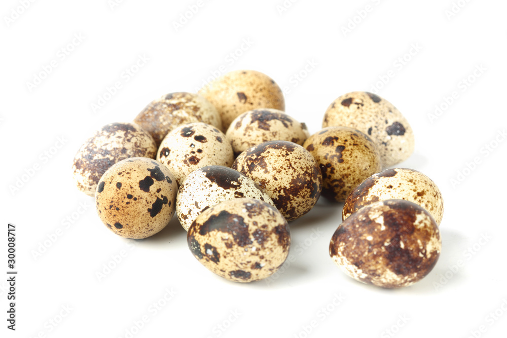 quail egg quail egg