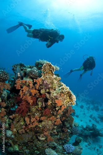 tropical underwater coral reef with scuba divers