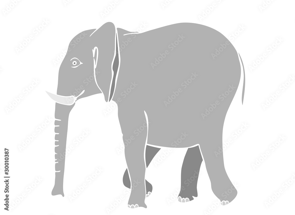 Obraz premium walking elephant - vector