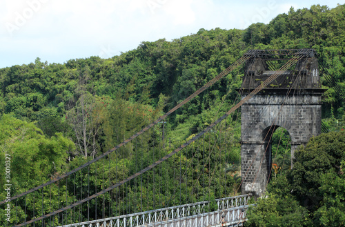 pont suspendu de la Rivière de l'Est, île de la Réunion