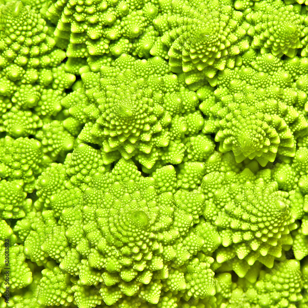 cabbage romanesco background cabbage romanesco background