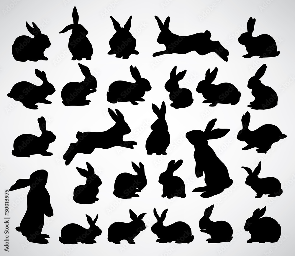 Fototapeta premium big collection of rabbit silhouettes