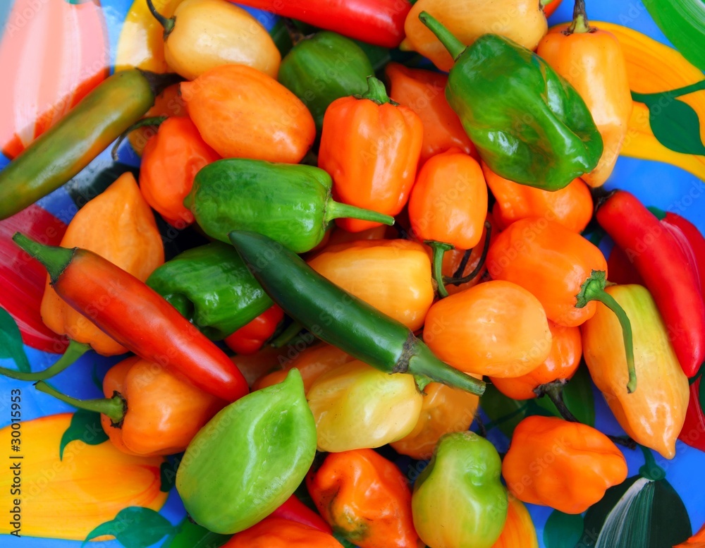 chili Habanero Serrano hot mexican peppers chili Habanero Serrano hot mexican peppers