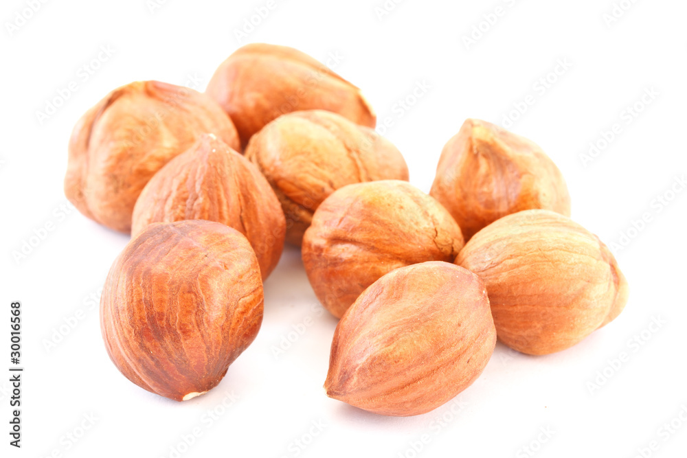 hazelnut hazelnut