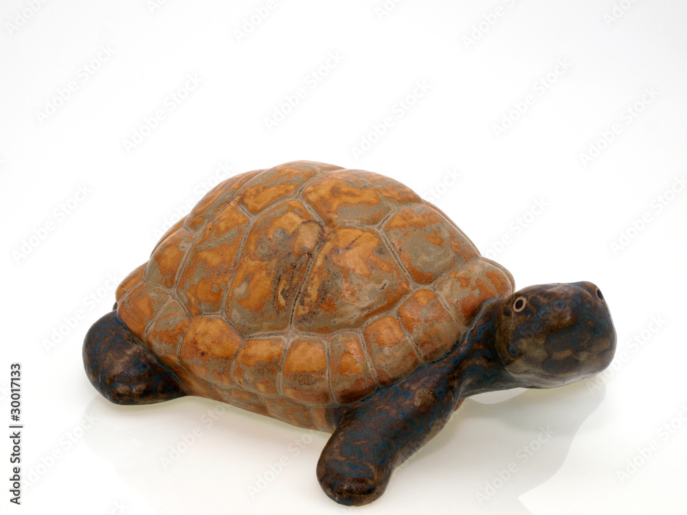 Obraz premium Schildkröte