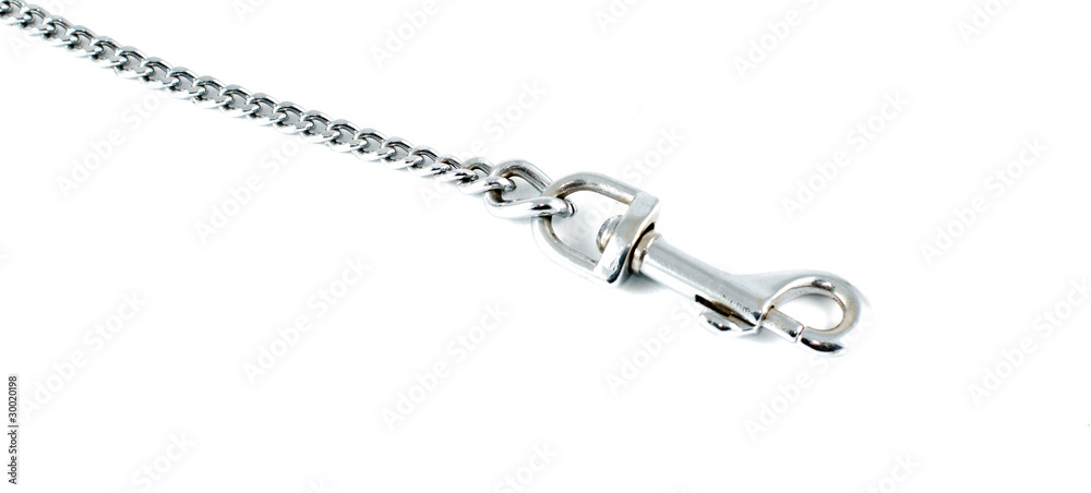 Silver leash Silver leash