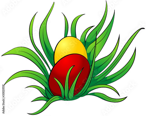 Eier im Gras