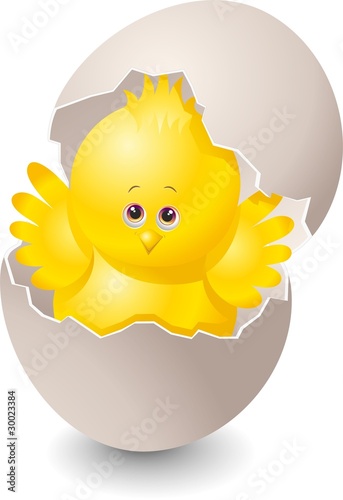 Pulcino Cartoon con Uoco-Chick Cartoon with Egg-Vector
