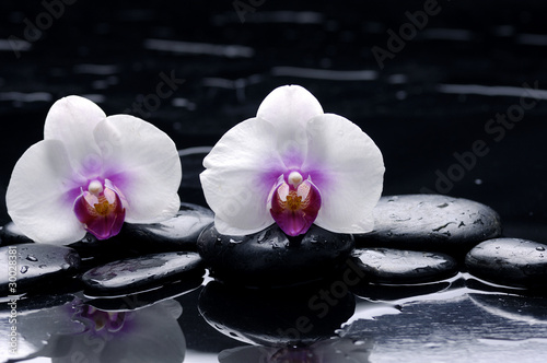 Zen stones and white orchids with reflection