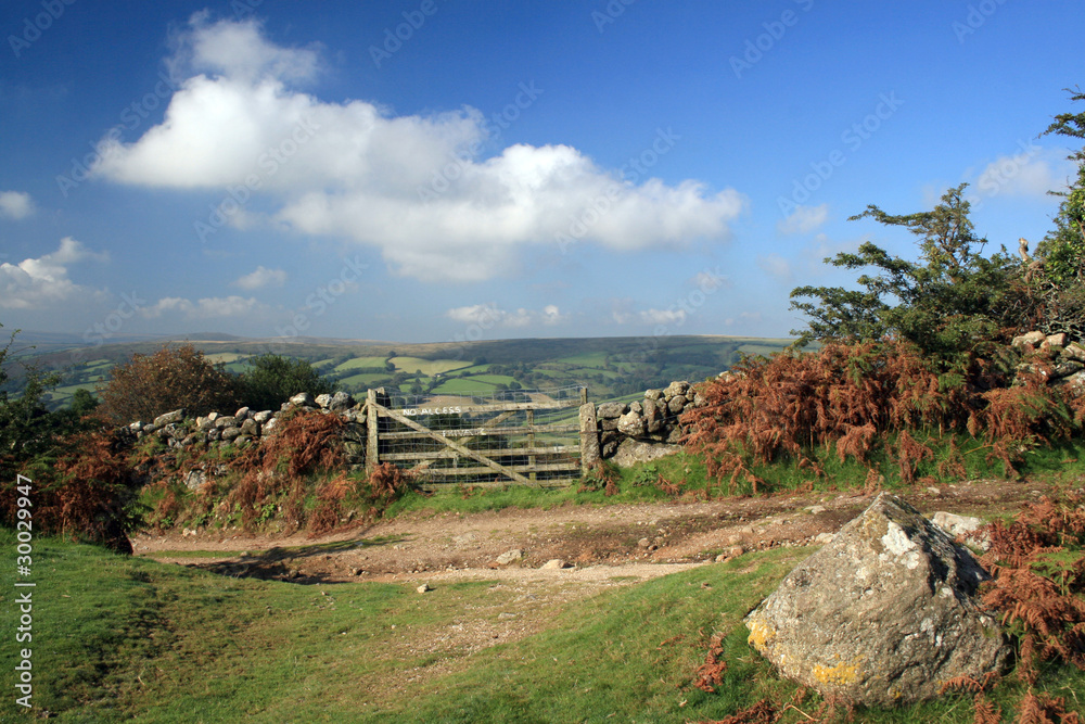 Gate on path over Bonehill Down, Dartmoor, Devon