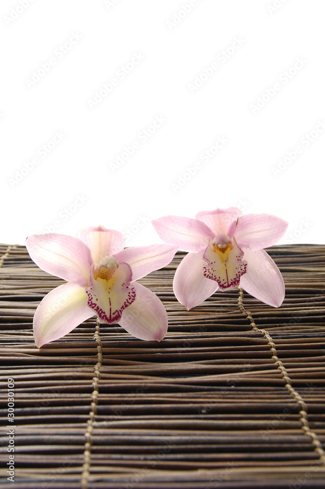 Two tiger's violet orchid on bamboo mat Two tiger's violet orchid on bamboo mat