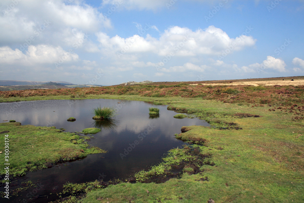 Pools in disused Haytor Quarries on Dartmoor, Devon Pools in disused Haytor Quarries on Dartmoor, Devon