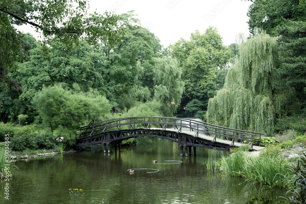 Plants in park