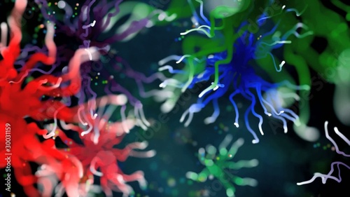 Microcosmos
