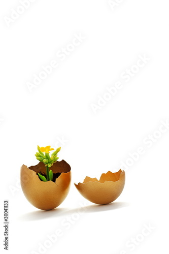Golden egg new life and easter time