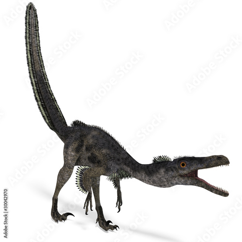 Dinosaur Velociraptor. 3D rendering with clipping path and