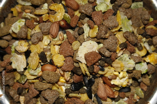 close up of rat food