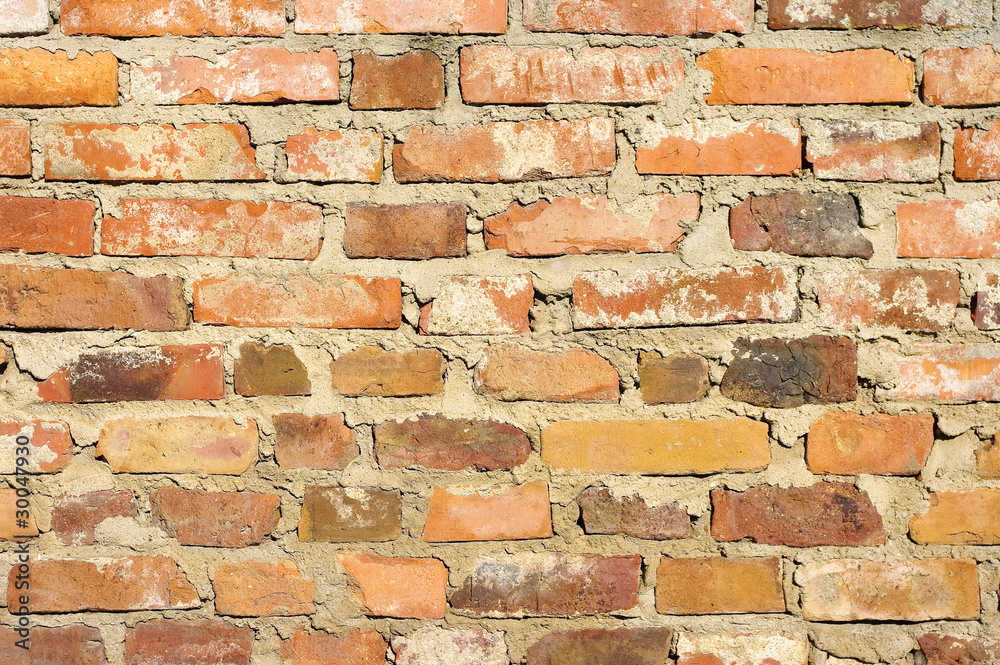 Obraz premium Old brick wall for texture