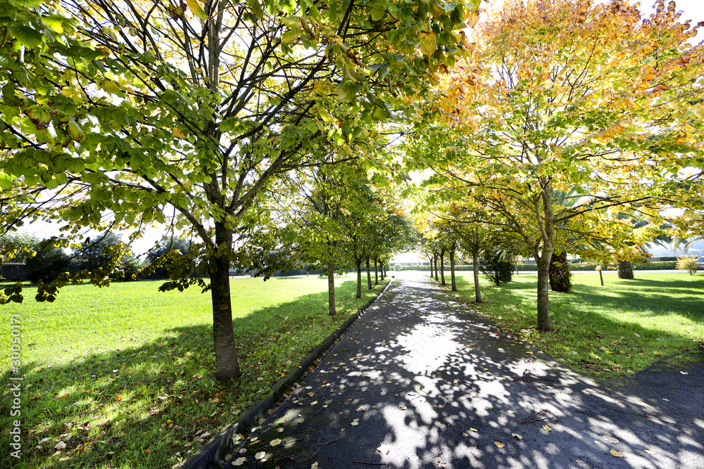 Naklejka premium Sunny day