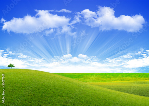 Fototapeta Naklejka Na Ścianę i Meble -  the grass with a blue sky