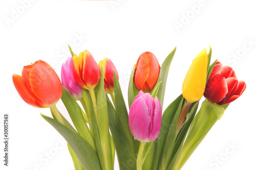 Fototapeta Naklejka Na Ścianę i Meble -  BOuquet of tulips, isolated on white background