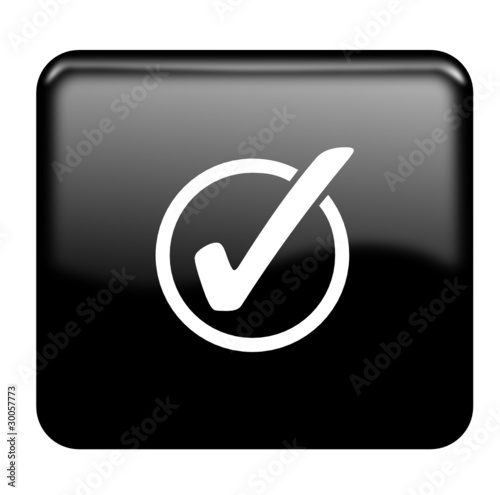 Check glossy icon