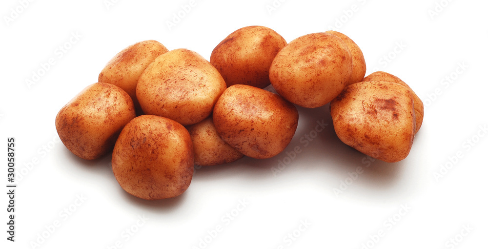 marzipan marzipan