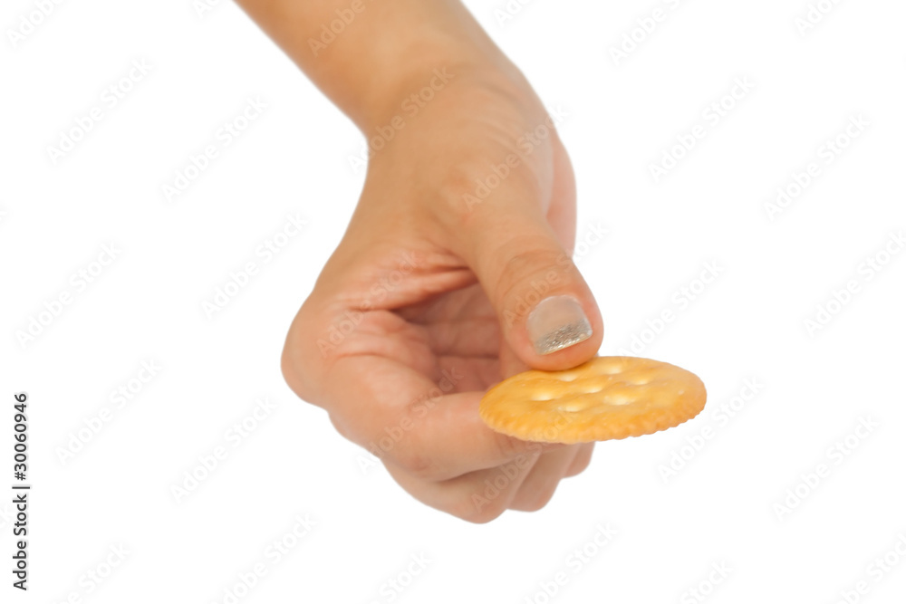 hand that holds the biscuit hand that holds the biscuit