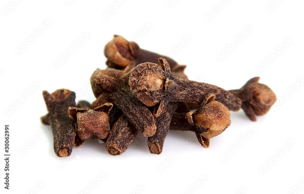 Fototapeta premium Seeds of a carnation