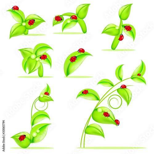 pflanzen set mit marienkäfern
