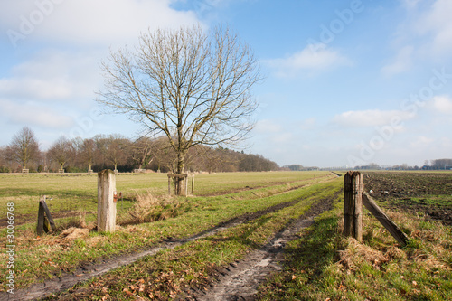 Dutch rural landscape in springtime