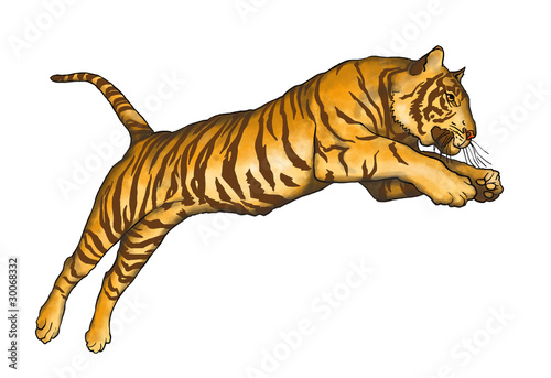 Photos tigre che salta