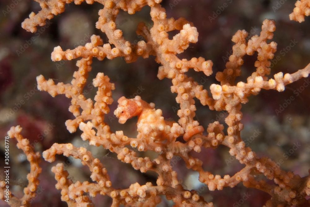 Nur  zwei Zentimeter