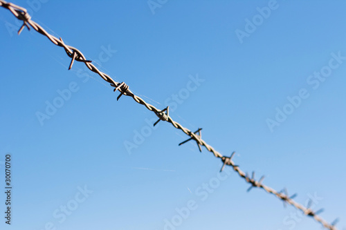 Barbed wire