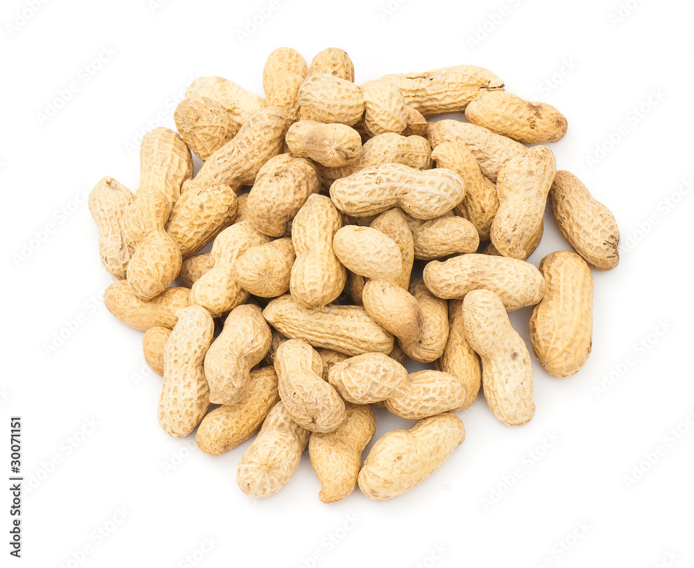 Peanut Peanut