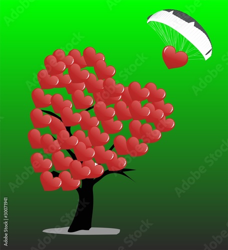 corazonarbol