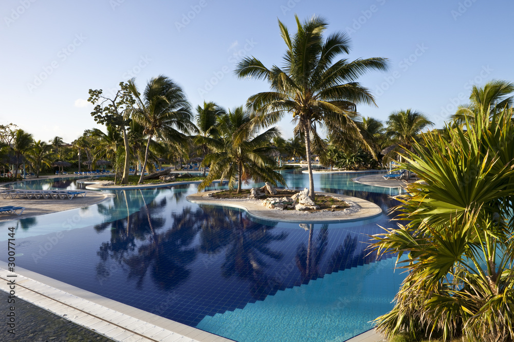 Luxury Resort Hotel Swimming Pool with Palm Trees