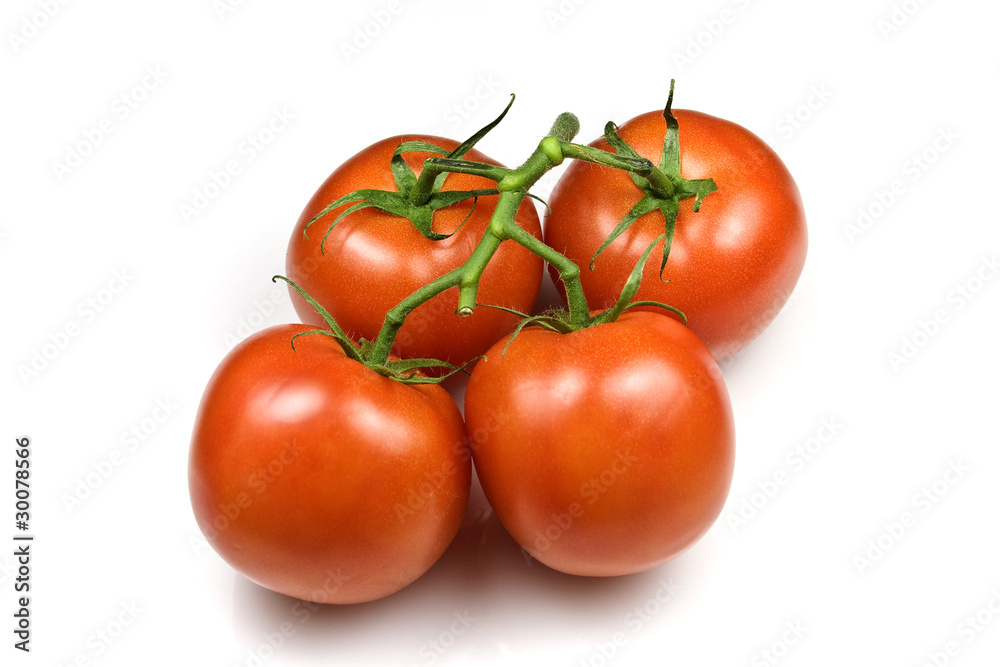 Trussed Tomatoes