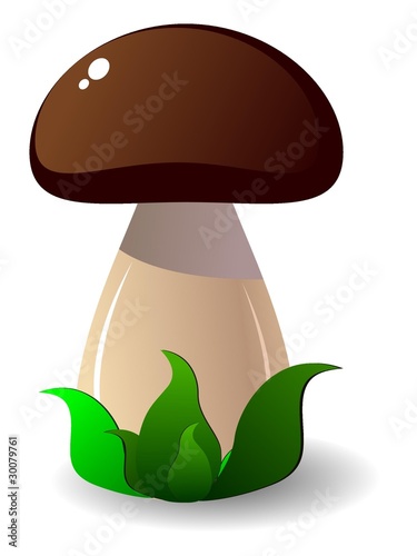 cepe. vector