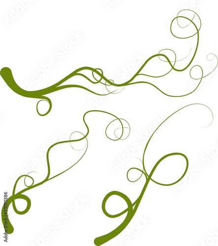 vector design element curve, spring vectorial green liana