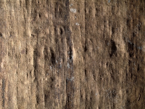 Texture of old papurus in sidelight